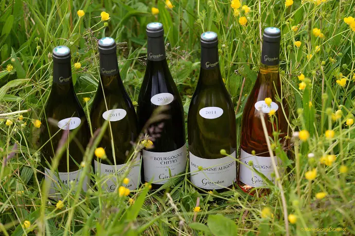 Domaine Giraudon Giraudon