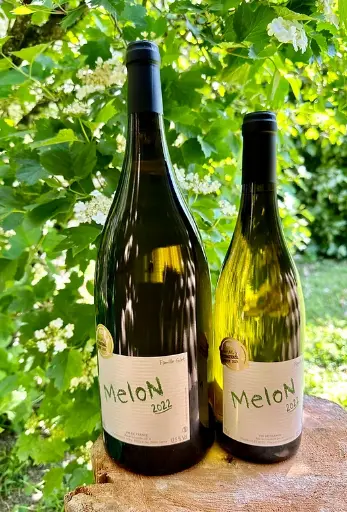 [1337] Famille Gilet - Melon de Bourgogne 2023 - Vin de France